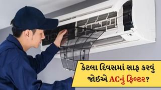 AC Filter Cleaning: ACના ફિલ્ટરને કેટલા દિવસમાં સાફ કરવું જોઈએ? કરી આ ભૂલ તો કુલિંગ નહીં થાય