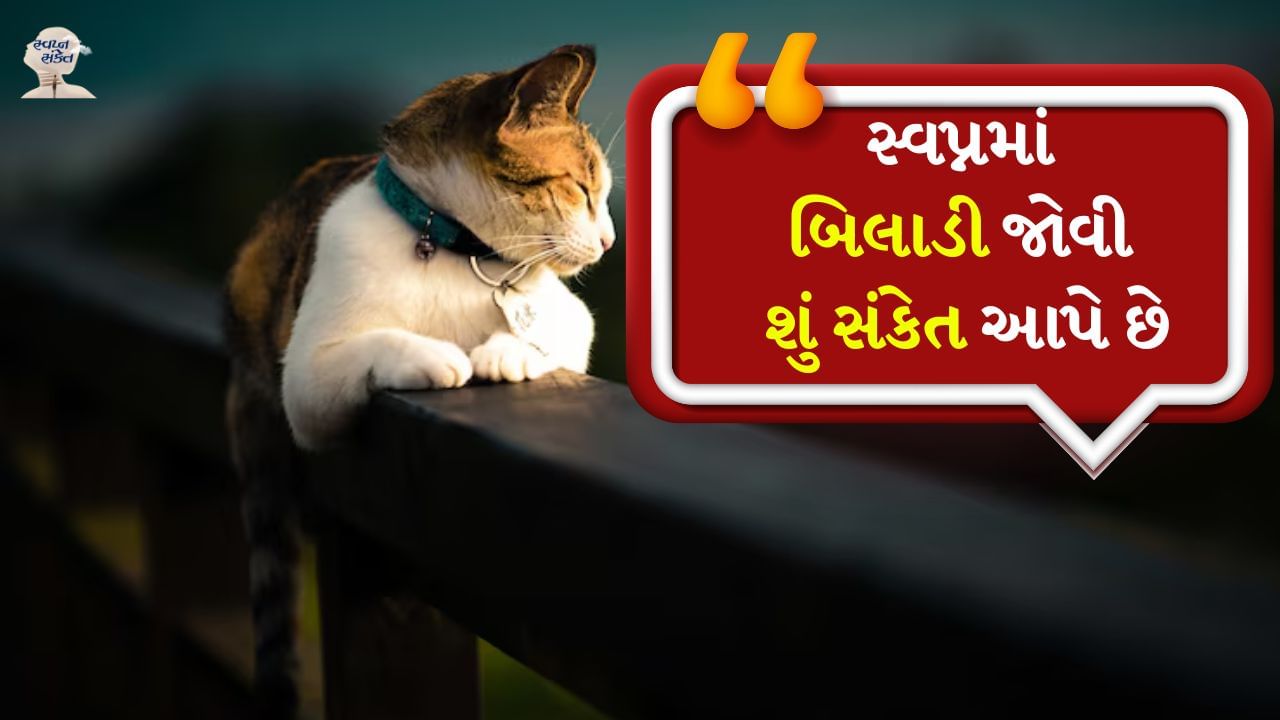 ક્યારેક સ્વપ્નમાં બિલાડી જોવી ડરામણી હોઈ શકે છે. પરંતુ સ્વપ્ન શાસ્ત્ર કહે છે કે જે વ્યક્તિને બિલાડીનું સ્વપ્ન આવે છે તેને જલદી જ આર્થિક લાભ મળે છે અને તેનું નસીબ ચમકે છે. બિલાડીના સપના તમારા ભવિષ્ય વિશે શું કહે છે તે તમે તમારા સ્વપ્નમાં બિલાડીને કેવી રીતે જુઓ છો તેના પર આધાર રાખે છે. ચાલો જાણીએ બિલાડીઓ સંબંધિત સપના અને તેના પરિણામો વિશે ખાસ વાતો.
