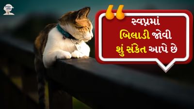 ક્યારેક સ્વપ્નમાં બિલાડી જોવી ડરામણી હોઈ શકે છે. પરંતુ સ્વપ્ન શાસ્ત્ર કહે છે કે જે વ્યક્તિને બિલાડીનું સ્વપ્ન આવે છે તેને જલદી જ આર્થિક લાભ મળે છે અને તેનું નસીબ ચમકે છે. બિલાડીના સપના તમારા ભવિષ્ય વિશે શું કહે છે તે તમે તમારા સ્વપ્નમાં બિલાડીને કેવી રીતે જુઓ છો તેના પર આધાર રાખે છે. ચાલો જાણીએ બિલાડીઓ સંબંધિત સપના અને તેના પરિણામો વિશે ખાસ વાતો.