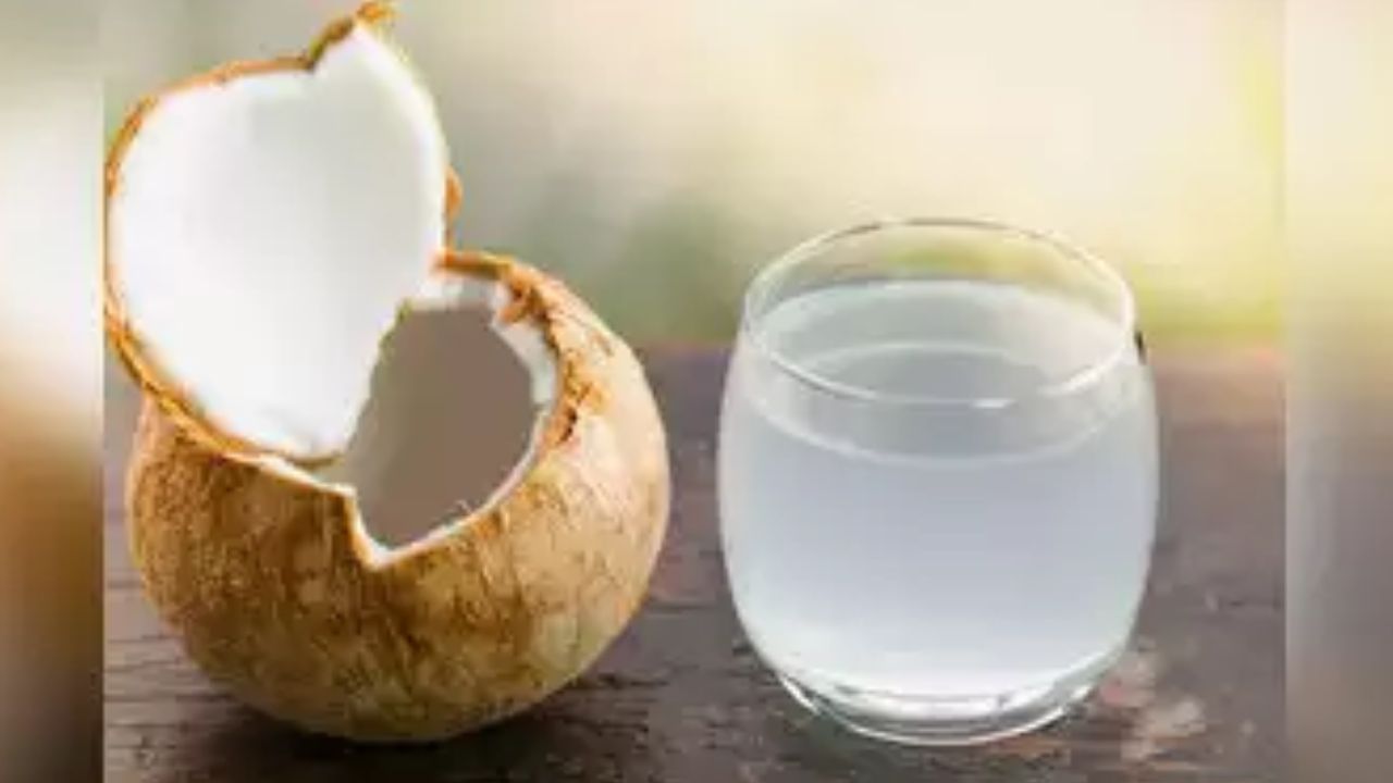 કાચા નારિયેળમાં કેટલું પાણી હોય છે?: એક નારિયેળમાં અંદાજે 200 થી 400 મિલી પાણી હોય છે. આ પાણી અંદર રહેલા નારિયેળની વિવિધતા અને જાડાઈ પર આધાર રાખે છે. આના આધારે નારિયેળમાં કેટલું પાણી હોઈ શકે છે તેનો અંદાજ લગાવવામાં આવે છે.