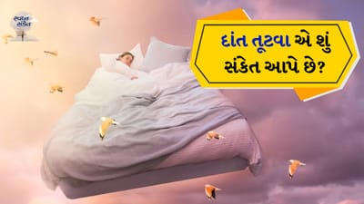 દરેક વ્યક્તિને ઊંઘતી વખતે સપના આવે જ છે. જાગ્યા પછી આપણે કેટલાક સપના ભૂલી જઈએ છીએ, જ્યારે કેટલાક સપના આપણા મનને બેચેન બનાવે છે. કેટલાક લોકો ઊંઘમાં જોયેલા સપનાઓને સપના સમજીને ભૂલી જાય છે. પરંતુ કેટલાક લોકો માને છે કે દરેક સ્વપ્નનો કોઈને કોઈ અર્થ હોય છે. સ્વપ્ન શાસ્ત્ર પણ એવું જ માને છે. સ્વપ્ન શાસ્ત્ર મુજબ દરેક સ્વપ્નનો કોઈને કોઈ અર્થ હોય છે.