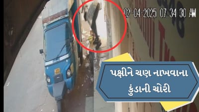 જામનગરમાં અનોખી ચોરી ! પક્ષીઓને પાણી પીવા રાખેલા પાણીના કુંડા અને ચણ ઉપાડી ગયો ચોર, ઘટના CCTVમાં કેદ જામનગરમાં અનોખી ચોરી ! પક્ષીઓને પાણી પીવા રાખેલા પાણીના કુંડા અને ચણ ઉપાડી ગયો ચોર, ઘટના CCTVમાં કેદ