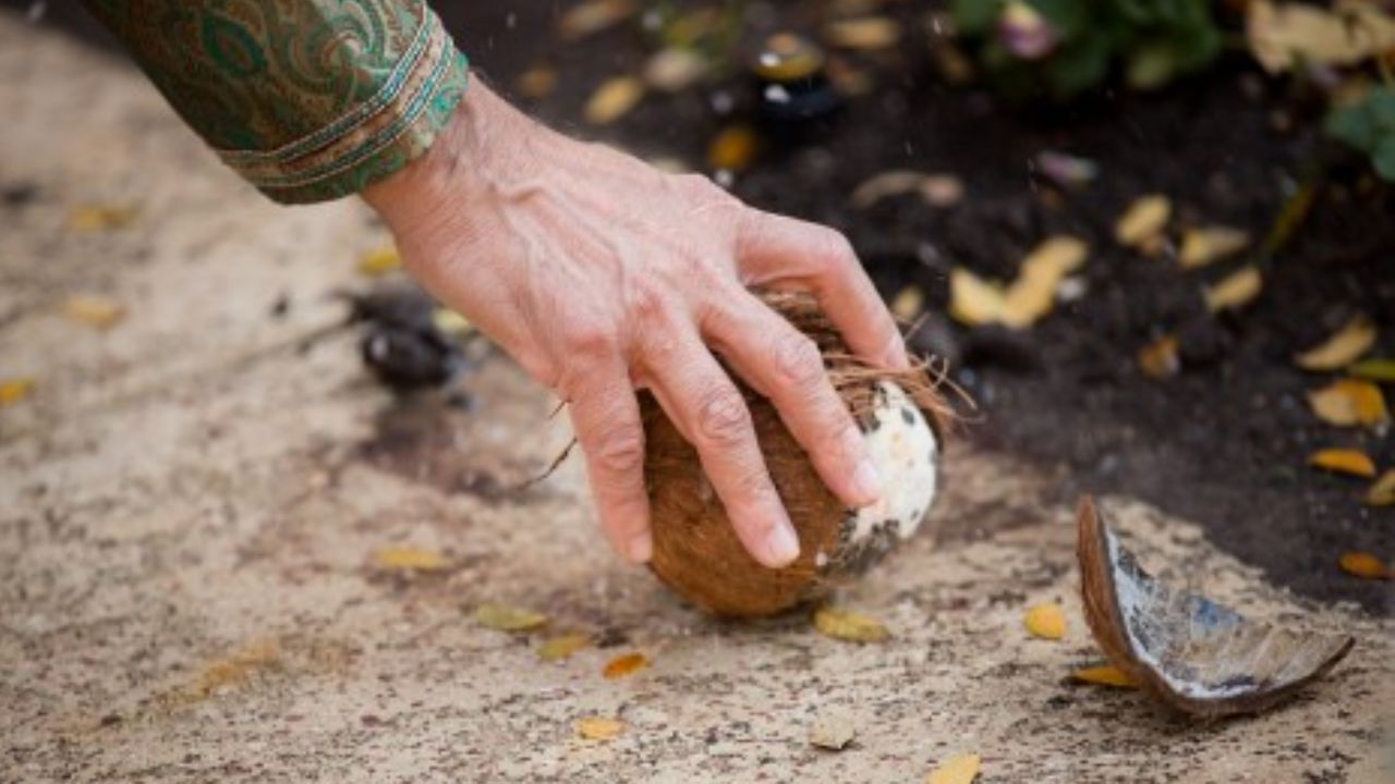 ઘરે જતા પહેલા નારિયેળનું બલિદાન આપવામાં આવે છે. એટલે એવું કહેવાય છે કે આવનાર સંકટ નારિયેળ પોતાના માથે લઈ લે છે. તેથી વર-કન્યાની કાર સુરક્ષિત રહે છે અને ભગવાન તેની રક્ષા કરે છે.
