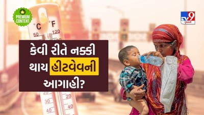 તમારા શહેરમાં હીટવેવ આવશે કે નહીં? હવામાન વિભાગ દ્વારા કેવી રીતે કરવામાં આવે છે લૂની આગાહી?