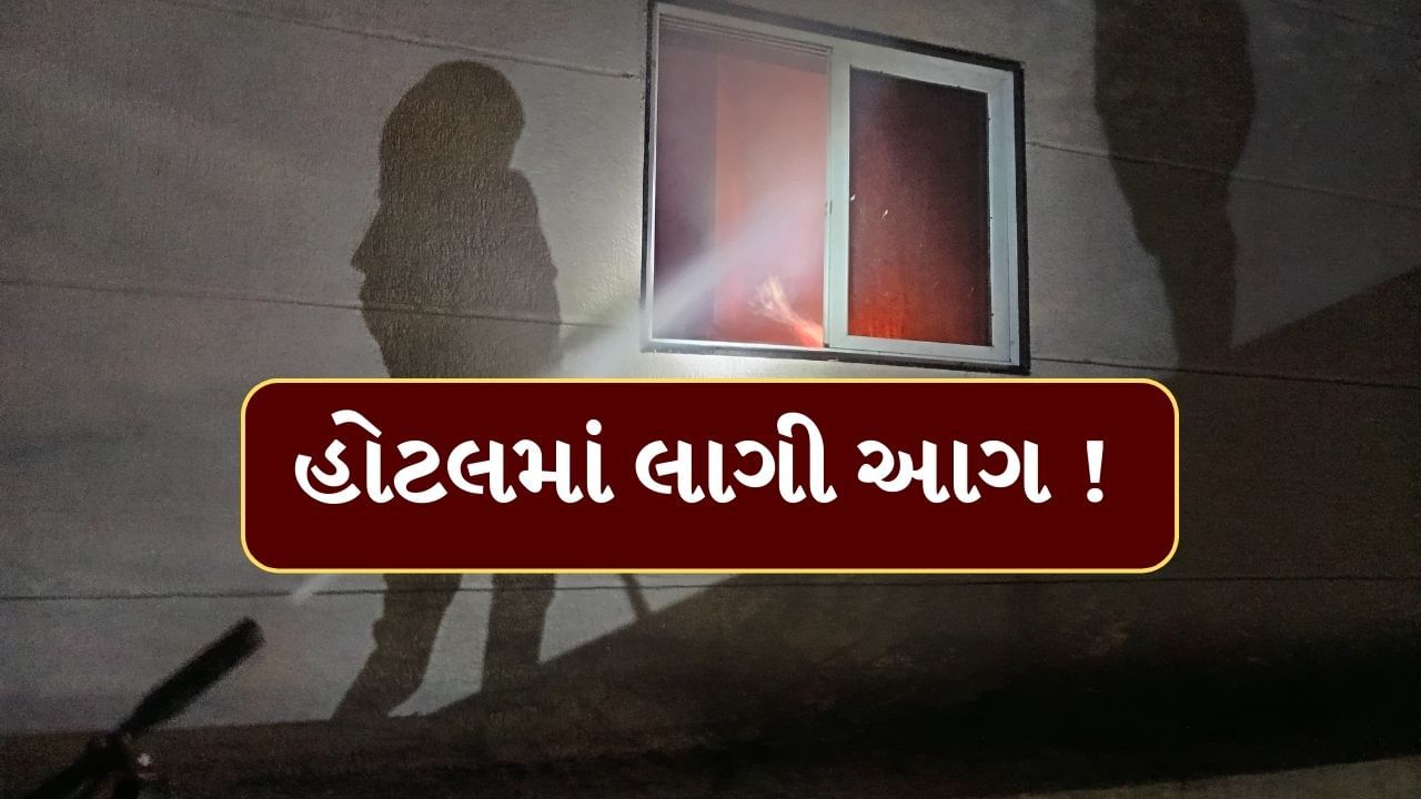 Mehsana : ઊંઝા-ઉનાવા હાઈવે પર આવેલી હોટલમાં અચાનક લાગી ભીષણ આગ, જુઓ Video