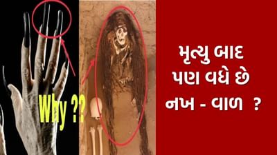ઘણીવાર સોશિયલ મીડિયા અને વોટ્સએપ પર એવી પોસ્ટ વાયરલ થાય છે કે મૃત્યુ પછી પણ માનવીના વાળ અને નખ વધે છે. જ્યારે વ્યક્તિ મૃત્યુ પામે છે ત્યારે હૃદય કામ કરવાનું બંધ કરી દે છે, લોહી ઠંડું થવા લાગે છે અને શરીર સખત થવા લાગે છે. આવી સ્થિતિમાં એવું લાગી શકે છે કે નખ અને વાળ વધી રહ્યા છે. પરંતુ શું આ સાચું છે? આવો સમજીએ...