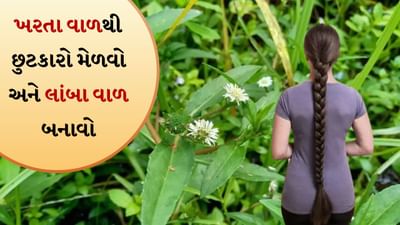 Hair Growth Tips: 5 રીતે ભૃંગરાજનો કરો ઉપયોગ, લોકો પૂછશે તમને જાડા અને લાંબા વાળનું રહસ્ય
