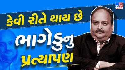 ગુનેગાર ક્યારે ભાગેડુ જાહેર થાય છે? ભારત સરકાર કેવી રીતે મેહુલ ચોકસીને પાછો લાવશે ?
