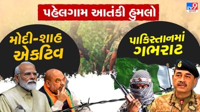 વિદેશથી મોદી અને દિલ્હીથી શાહ એક્શનમાં આવતા જ પાકિસ્તાન ગભરાયું, પહેલગામ હુમલા મુદ્દે ભારત આપશે જડબાતોડ જવાબ !