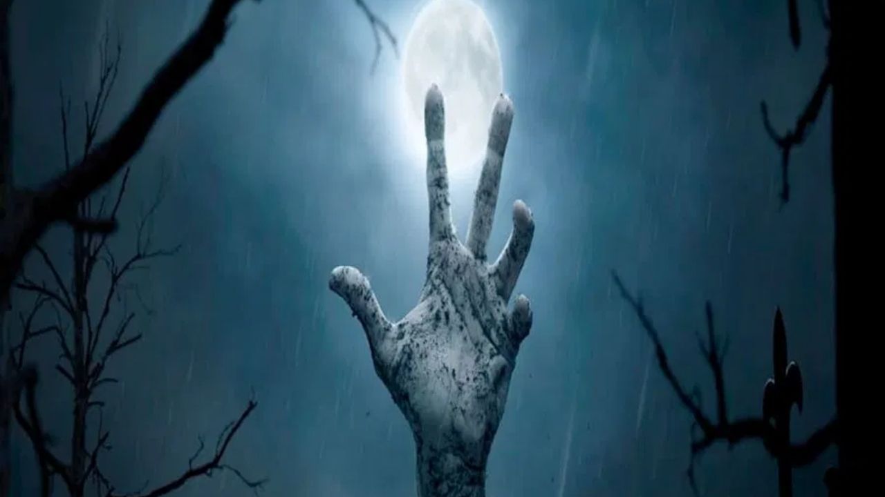 અંતે, મૃત્યુ પછી નખ અને વાળ કેમ વધતા બંધ થાય છે તે પણ સમજીએ. મીડિયા રિપોર્ટ મુજબ, નખ અને વાળ વધવા માટે નવા કોષોનું ઉત્પાદન જરૂરી છે, અને તેના માટે ગ્લુકોઝ જોઈએ છે. મૃત્યુ પછી શરીરમાં ગ્લુકોઝ ઉપલબ્ધ રહેતું નથી, જેના કારણે નખ અને વાળ વધવાનું બંધ થઈ જાય છે. (Image - Canva)