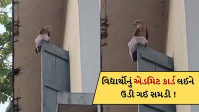 અરે...આ શું ! પરીક્ષાના ઠીક પહેલા યુવકનું એડમિટ કાર્ડ લઈને ઉડી ગઈ સમડી ! પછી જે થયું જુઓ-Video