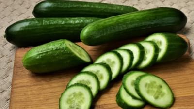 ઉનાળાની ઋતુ આવતાની સાથે જ કાકડી (Cucumber)ની માંગ અચાનક વધી જાય છે. સલાડની પ્લેટ હોય કે રાયતુ સાથે કાકડી હોય છે. આવી સ્થિતિમાં, લોકોના મનમાં ઘણીવાર એક પ્રશ્ન ઉભો થાય છે કે કાકડીની છાલ કાઢલી કે તેને છાલ કાઢ્યા વગર જ ખાવી(Should You Peel Cucumber ?) જો તમે પણ આ અંગે મૂંઝવણમાં છો, તો ચાલો જવાબ શોધીએ.