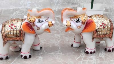 Vastu Shastra: હિન્દુ ધર્મમાં હાથીને શુભ માનવામાં આવે છે. તેવી જ રીતે હાથીની મૂર્તિના વાસ્તુ ફાયદા અવિશ્વસનીય છે, કારણ કે તેને સારા નસીબનું પ્રતીક માનવામાં આવે છે. વાસ્તુ અને હિન્દુ માન્યતાઓમાં, હાથીઓ ભગવાન ગણેશ અને ગૌતમ બુદ્ધ સાથે સંકળાયેલા છે કારણ કે તેઓ ઊર્જાનું પ્રતિનિધિત્વ કરે છે. હાથીઓને શક્તિનું પ્રતીક માનવામાં આવે છે અને તેમને મુશ્કેલીઓ અને અવરોધોને દૂર કરનાર પણ માનવામાં આવે છે.