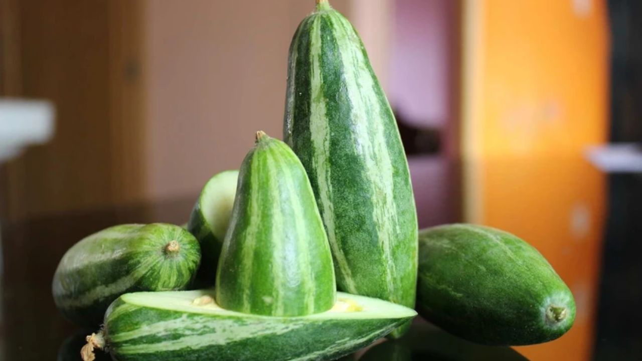 પરવળનું શાક ખાતી વખતે ધ્યાનમાં રાખવા જેવી બાબતો: પરવળનું શાક ત્યારે જ ખાઓ જ્યારે તે યોગ્ય રીતે રાંધેલું હોય. કાચા પરવળ તમારા પાચનતંત્રને નુકસાન પહોંચાડી શકે છે. પરવળનું શાક વધુ પડતું ન ખાઓ, વધુ પડતું ખાવાથી ઝાડા થઈ શકે છે. જો તમે કોઈ રોગ સંબંધિત કોઈ દવા લઈ રહ્યા છો, તો પરવળ ખાતા પહેલા ચોક્કસપણે ડૉક્ટરની સલાહ લો.