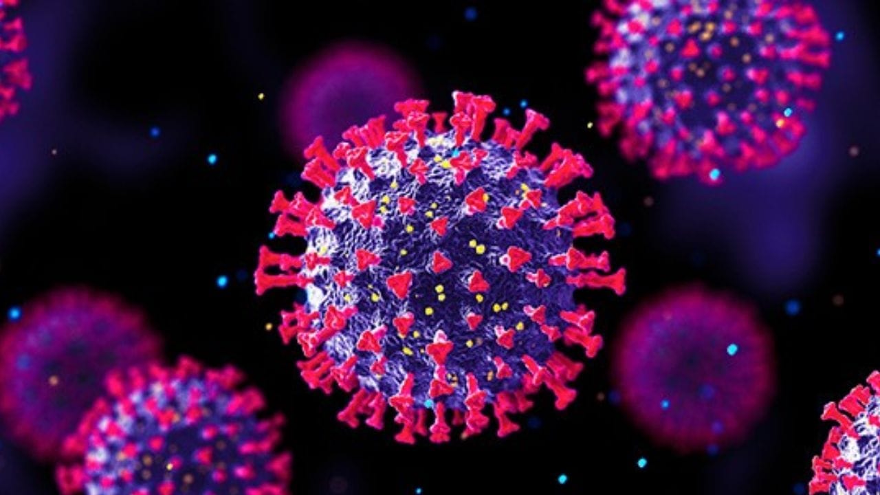  પોતાની જાતને સુરક્ષિત રાખવા કેટલાક નીયમો અનુસરો, ભીડવાળી જગ્યાએ માસ્ક પહેરો.સાબુ અથવા સેનિટાઇઝરથી હાથ સાફ રાખો.જો તમને તાવ, શરદી કે ઉધરસ હોય, તો તમારી જાતને અલગ રાખો અને પરીક્ષણ કરાવો.કોવિડ રસીના તમામ જરૂરી ડોઝ લો.સંતુલિત સ્વસ્થ આહાર લો અને કસરત કરો.