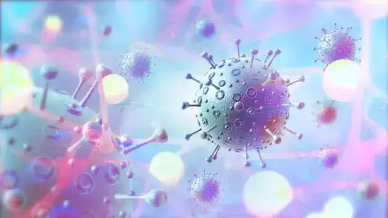 મધ્યપ્રદેશના ઇન્દોરમાં બે નવા કોરોના દર્દીઓ મળી આવ્યા છે. ગુરુવારે શહેરમાં બે નવા કોરોના પોઝિટિવ દર્દીઓ મળી આવતા લોકોની ચિંતા વધી ગઈ. નવા દર્દીઓમાંથી એક કોલકાતાનો પ્રવાસ ઇતિહાસ ધરાવતો હોવાનું કહેવાય છે. આ વર્ષે જાન્યુઆરીથી મધ્યપ્રદેશમાં કુલ 17 કોરોના પોઝિટિવ કેસ નોંધાયા છે, જેમાંથી 10 દર્દીઓ ઇન્દોરના રહેવાસી હોવાનું કહેવાય છે. કેરળથી ગુજરાત, મહારાષ્ટ્ર સુધી દર્દીઓની સંખ્યામાં વધારો જોવા મળી રહ્યો છે.