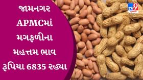 APMC Rates : જામનગર APMCમાં મગફળીના મહત્તમ ભાવ રૂપિયા 6835 રહ્યા APMC Rates : જામનગર APMCમાં મગફળીના મહત્તમ ભાવ રૂપિયા 6835 રહ્યા