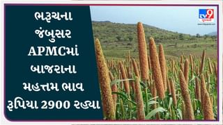 APMC Market Rates : ભરૂચના જંબુસર APMCમાં બાજરાના મહત્તમ ભાવ રૂપિયા 2900 રહ્યા, જાણો જુદા-જુદા પાકના ભાવ