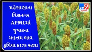 APMC Market Rates : મહેસાણાના વિસનગર APMCમાં જુવારના મહત્તમ ભાવ રૂપિયા 6175 રહ્યા, જાણો જુદા-જુદા પાકના ભાવ