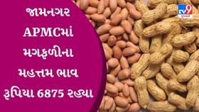APMC Market Rates: જામનગર APMCમાં મગફળીના મહત્તમ ભાવ રૂપિયા 6875 રહ્યા APMC Market Rates: જામનગર APMCમાં મગફળીના મહત્તમ ભાવ રૂપિયા 6875 રહ્યા