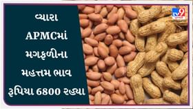 APMC Market Rates: વ્યારા APMCમાં મગફળીના મહત્તમ ભાવ રૂપિયા 6800 રહ્યા APMC Market Rates: વ્યારા APMCમાં મગફળીના મહત્તમ ભાવ રૂપિયા 6800 રહ્યા