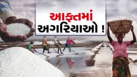 માવઠાને કારણે સુરેન્દ્રનગરના અગરિયાઓને 30 કરોડનું નુકસાન જવાની ભીતિ માવઠાને કારણે સુરેન્દ્રનગરના અગરિયાઓને 30 કરોડનું નુકસાન જવાની ભીતિ