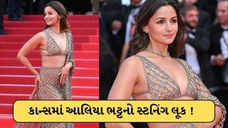 Cannes 2025 : આલિયા ભટ્ટનો જલવો ! કાન્સમાં પહેરી એવી સાડી જોતા રહી ગયા લોકો, જુઓ-Photo