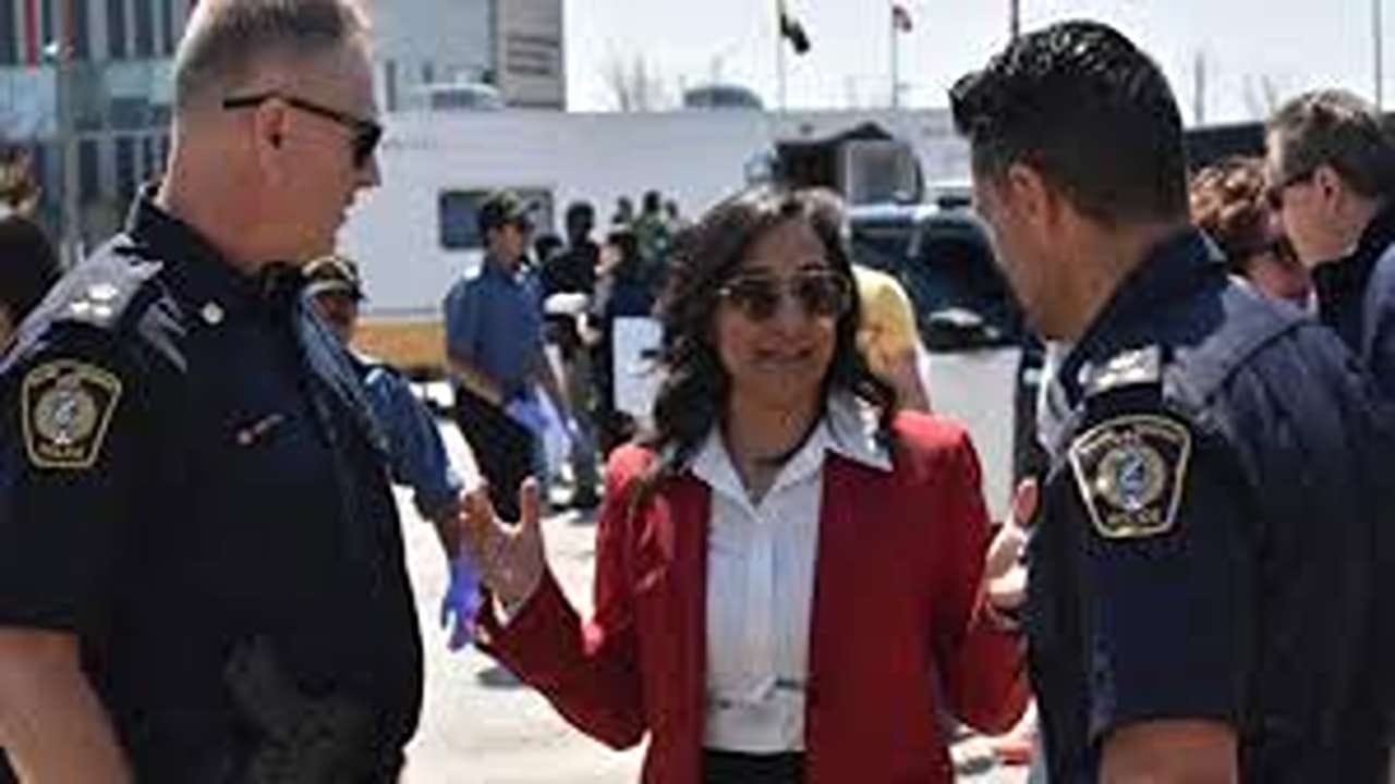 અનિતા આનંદે પોતાના અગાઉના નિવેદનોમાં ભારતીય સેલિબ્રિટીઓ અને હિન્દુ મંદિરો પર તોડફોડની ઘટનાઓ સામે અવાજ ઉઠાવ્યો છે. જૂન 2024 માં, તેમણે કેનેડાના બ્રેમ્પટનમાં ભૂતપૂર્વ વડા પ્રધાન ઇન્દિરા ગાંધીને લઈને નીકળેલી વિવાદાસ્પદ ઝાંખીની ફણ નિંદા કરી હતી.
