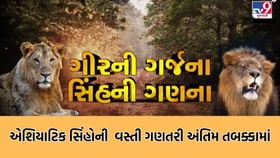 સિંહોની વસ્તી ગણતરી અંતિમ તબક્કામાં, સાંસદ પરિમલ નથવાણી પણ જોડાયા સિંહોની વસ્તી ગણતરી અંતિમ તબક્કામાં, સાંસદ પરિમલ નથવાણી પણ જોડાયા