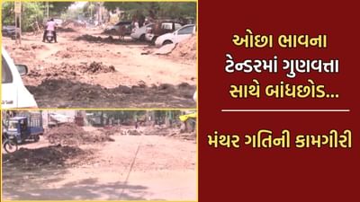 ભાવનગરમાં નીચા ભાવે વિકાસકામોના ટેન્ડર બહાર પાડી કોન્ટ્રાક્ટરોને ફાયદો પહોંચાડવાનો વિપક્ષનો આક્ષેપ, મંથર ગતિની કામગીરીથી શહેરીજનો ત્રાહિમામ- Video