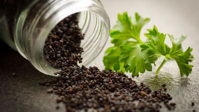 કાળા મરી એ એવી સામાન્ય વાનગીઓમાં વપરાતી સામગ્રી છે, જે દરેક ભારતીય રસોડામાં જોવા મળે છે. ઘણા લોકો તેનો ઉપયોગ ખોરાકમાં થોડું તીખાશ અને સ્વાદ ઉમેરવા માટે કરે છે. જોકે, કાળી મરી માત્ર રસોઈનો મસાલો નથી, તે મગજ માટે પણ અત્યંત લાભદાયક બની શકે છે. આશ્ચર્યજનક રીતે, આ નાનકડો મસાલો મગજ માટે એક પ્રાકૃતિક ટોનિકની જેમ કાર્ય કરી શકે છે. (Credits: - Canva)