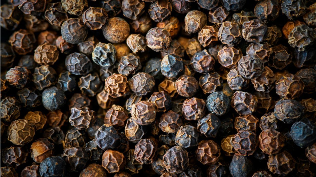 જો તમે રોજિંદા આહારમાં કાળી મરીનો સમાવેશ કરો છો, તો તે તમારું ધ્યાન વધારવા ઉપરાંત તમારી યાદશક્તિમાં પણ સુધારો લાવી શકે છે. (Credits: - Canva)