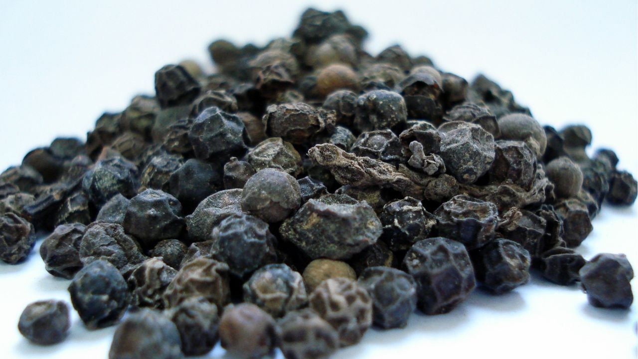 આ લાભ કાળા મરીમાં રહેલા પાઇપરિન નામના તત્વના કારણે મળે છે. તેથી, જો તમે વારંવાર ભૂલી જાવો છો કે તમારું ધ્યાન ભટકતું જાય છે, તો કાળી મરી તમારા માટે લાભદાયક બની શકે છે. (Credits: - Canva)