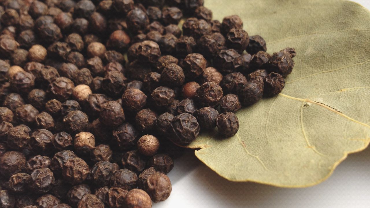 આજકાલ સતત તણાવ, વધતું પ્રદૂષણ, જંક ફૂડ અને વધુ સ્ક્રીન ટાઇમના કારણે મગજ ઉપર નકારાત્મક અસર થાય છે અને તે થાક અનુભવતું થાય છે. આવી પરિસ્થિતિમાં કાળી મરી ઉપયોગી સાબિત થાય છે, કારણ કે તે મગજની કોષોને નુકસાનથી બચાવવાનું કામ કરે છે અને તેમને તંદુરસ્ત રાખવામાં સહાયરૂપ બને છે જાણે તે મગજ માટે એક રક્ષણકર્તા હોય. (Credits: - Canva)