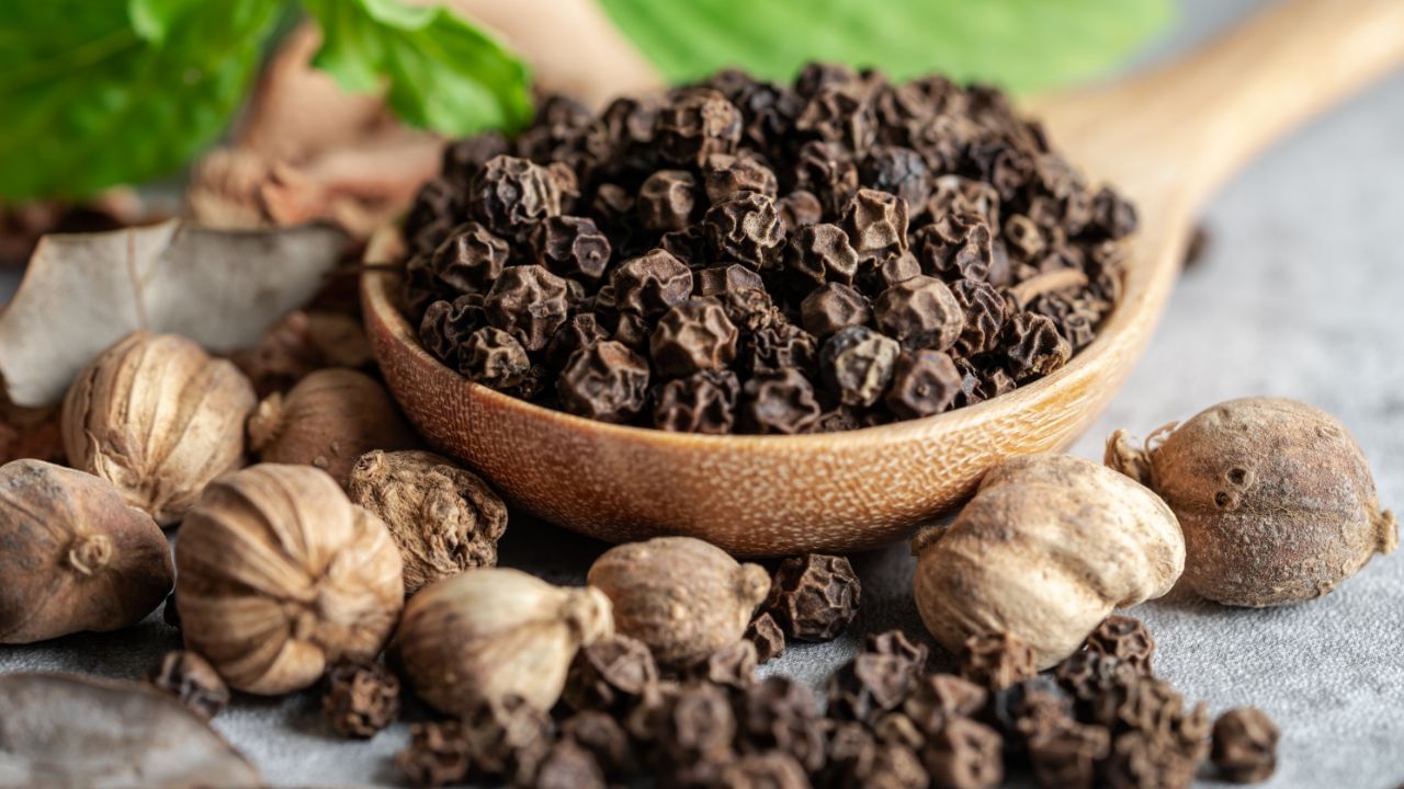 જેમ જેમ ઉંમર વધતી જાય છે, તેમ યાદશક્તિ ધીરે ધીરે કમજોર થતી જાય છે. જો તમે દૈનિક આહારમાં કાળી મરીનો સમાવેશ કરો, તો તેમાં રહેલું પાઇપરિન નામનું તત્વ વૃદ્ધાવસ્થામાં મગજને આવતી મુશ્કેલીઓ, ખાસ કરીને યાદશક્તિ ઘટતી હોવાની પ્રક્રિયાને ધીમી પાડવામાં મદદરૂપ થઈ શકે છે. જોકે કાળા મરી કોઇ ચમત્કારી દવા નથી, પરંતુ તે મગજને સક્રિય અને સ્વસ્થ રાખવામાં મહત્વનો ભાગ ભજવી શકે છે. તેને કારણે અલ્ઝાઇમર જેવા ન્યુરોડિજનરેટિવ રોગોનો જોખમ ઘણું ઓછું થઈ શકે છે. (Credits: - Canva)