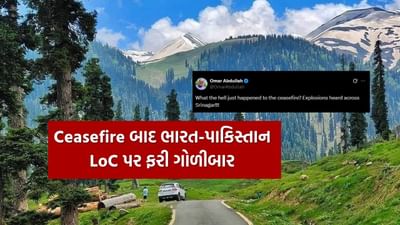 Breaking News : નહીં સુધરે 'નાપાક' ceasefire બાદ પાકિસ્તાની ડ્રોનોએ ફરીથી કાશ્મીર ઘાટીમાં કર્યો પ્રવેશ, ઉધમપુર અને જમ્મુમાં વાગ્યા સાયરન
