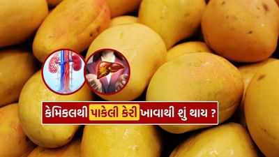 કુદરતી રીતે પાકેલી કેરી માત્ર સ્વાદિષ્ટ જ નથી પણ સ્વાસ્થ્ય માટે પણ ફાયદાકારક છે, પરંતુ કેરીને ઝડપથી પકવવા માટે, તેને કેલ્શિયમ કાર્બાઇડનો ઉપયોગ કરીને પકવવામાં આવે છે, જેના ઘણા ગેરફાયદા છે.