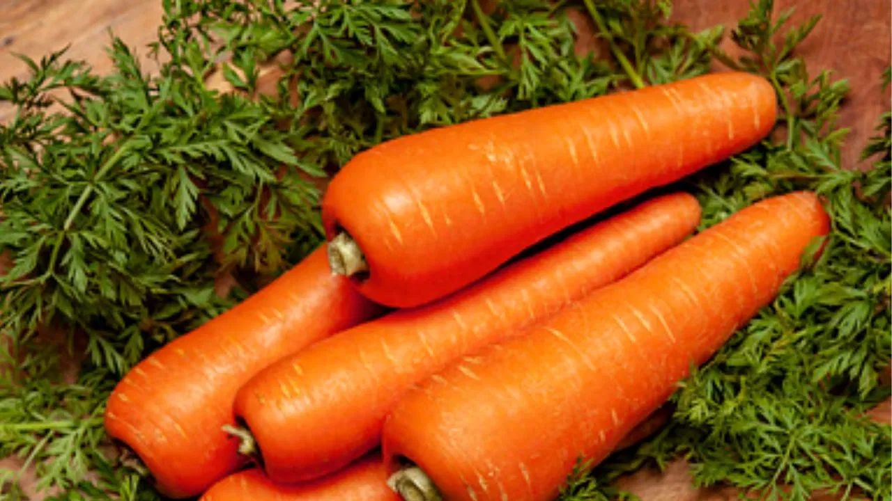 ગાજર: ગાજરમાં બીટા-કેરોટીન હોય છે, જે શરીરમાં જઈને 'વિટામિન A'માં બદલાઈ જાય છે. આ આંખોની રોશની વધારવામાં મદદ કરે છે તેમજ રાત્રિના સમયે જોવાની દ્રષ્ટિમાં પણ સુધાર લાવે છે.