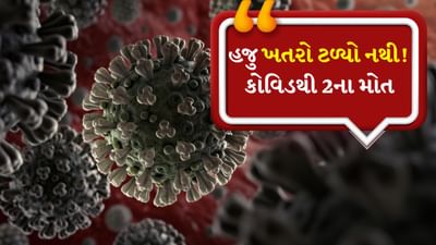 ડરના જરુરી હૈ! રાખો સાવચેતી, કોરોના વાયરસથી બે લોકોના મોત, ભારતમાં કેસ ઝડપથી વધી રહ્યા છે