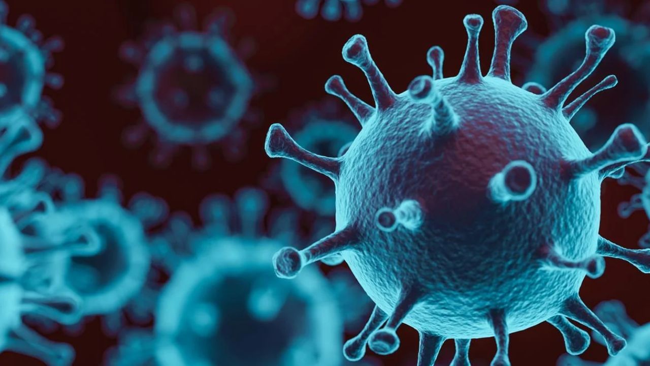 ગુજરાતમાં વધતા કોરોનાના કેસને લઈને ભાવનગરમાં તંત્ર એલર્ટ, 30 બેડનો આઇસોલેશન વોર્ડ તૈયાર કર્યો, જુઓ Video