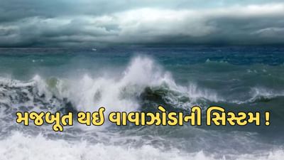 Cyclone Alert : વાવાઝોડાને લઈને આગામી કલાકો ગુજરાત માટે મહત્વના, લો પ્રેશર ડિપ્રેશનમાં ફેરવાશે, દરિયાકાંઠાના વિસ્તારોમાં એલર્ટ
