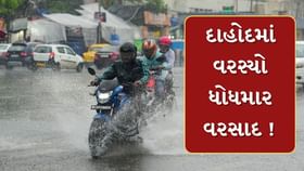 લીમડી સહિત આસપાસના વિસ્તારોમાં ગાજવીજ સાથે તૂટી પડ્યો વરસાદ લીમડી સહિત આસપાસના વિસ્તારોમાં ગાજવીજ સાથે તૂટી પડ્યો વરસાદ