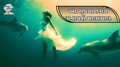 સ્વપ્ન સંકેત:  રાત્રે સૂતી વખતે વ્યક્તિ સપનાની દુનિયામાં પહોંચી જાય છે. વ્યક્તિ વિવિધ પ્રકારના સપના જુએ છે. કેટલાક સપના એટલા સારા હોય છે કે જો તમે તેને જોતા જાગી જાઓ છો, તો તમને પસ્તાવો થવા લાગે છે. પરંતુ કેટલાક સપના એટલા ડરામણા હોય છે કે ગાઢ નિંદ્રામાં સૂતેલી વ્યક્તિ તેને જોયા પછી બેચેન થઈ જાય છે. 
