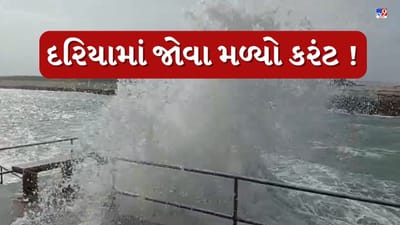 Rain : દ્વારકાના દરિયામાં જોવા મળ્યો ભારે કરંટ, ઘાટ વિસ્તારમાં સુરક્ષા ગાર્ડ તૈનાત કરાયા, જુઓ Video