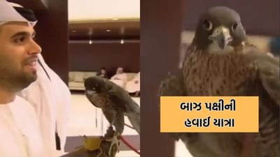 ફ્લાઈટમાં બાઝ પક્ષીને લઈને ચડ્યો આરબ વ્યક્તિ, સોશિયલ મીડિયામાં વાયરલ થયો Video