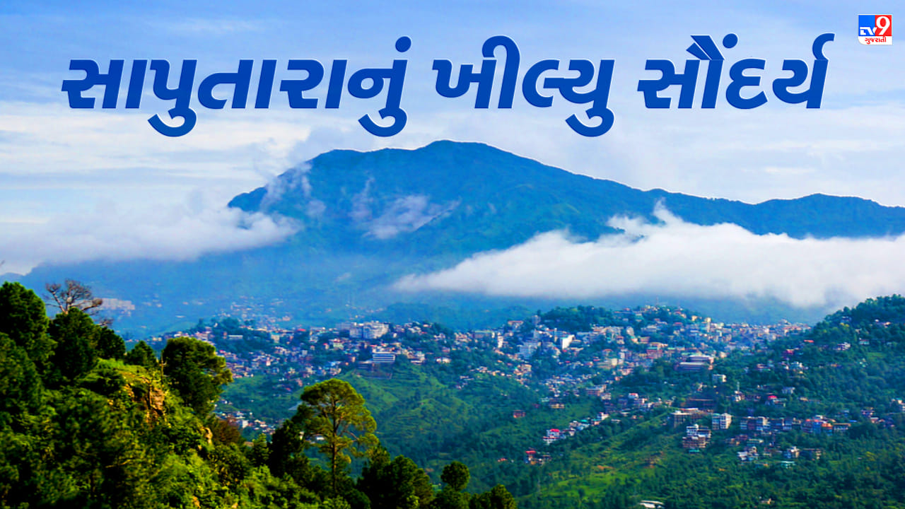 Rain News : સાપુતારામાં ધુમ્મસ સાથે વરસ્યો વરસાદ, પ્રવાસીઓમાં ખુશીનો માહોલ, જુઓ Video