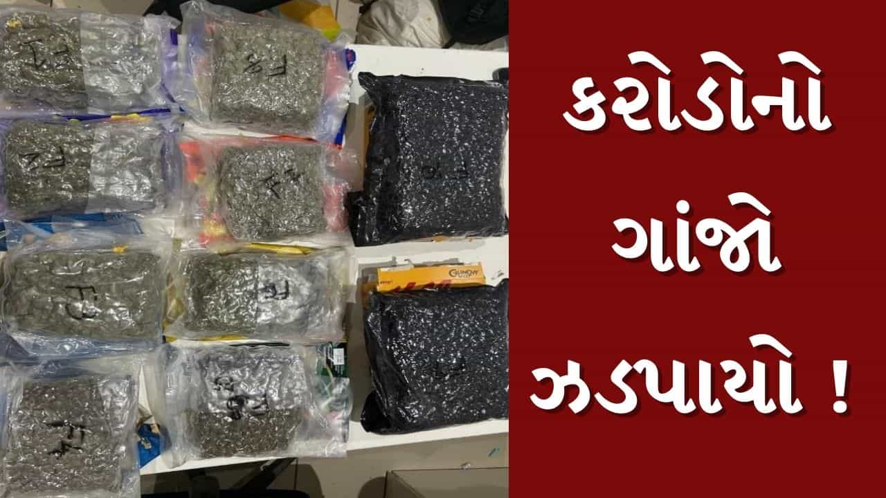 Ahmedabad : એરપોર્ટ પરથી ફરી ઝડપાયો કરોડોનો હાઇડ્રોપોનિક ગાંજો, જુઓ Video