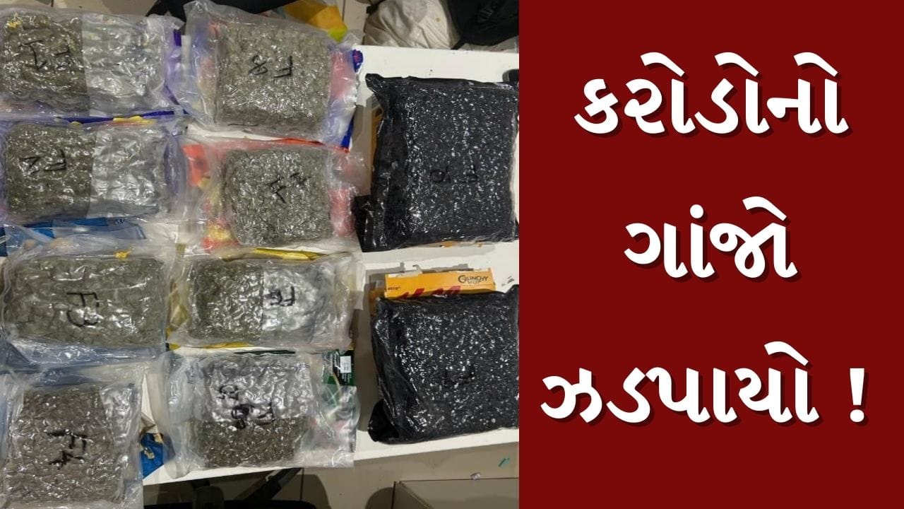 Ahmedabad : એરપોર્ટ પરથી ફરી ઝડપાયો કરોડોનો હાઇડ્રોપોનિક ગાંજો, જુઓ Video Ahmedabad : એરપોર્ટ પરથી ફરી ઝડપાયો કરોડોનો હાઇડ્રોપોનિક ગાંજો, જુઓ Video