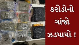 એરપોર્ટ પરથી ફરી ઝડપાયો કરોડોનો હાઇડ્રોપોનિક ગાંજો એરપોર્ટ પરથી ફરી ઝડપાયો કરોડોનો હાઇડ્રોપોનિક ગાંજો
