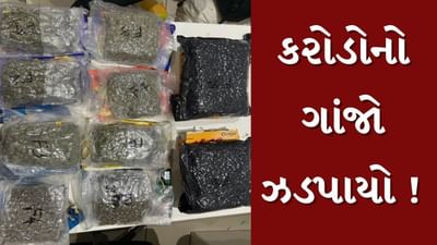 Ahmedabad : એરપોર્ટ પરથી ફરી ઝડપાયો કરોડોનો હાઇડ્રોપોનિક ગાંજો, જુઓ Video